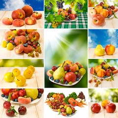 different fruits and vegetables