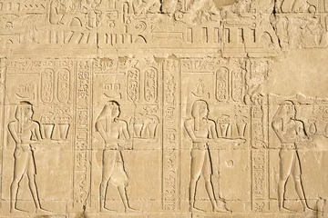 Foto op Plexiglas Wall carving, the temple of Edfu, Egypt © Noradoa