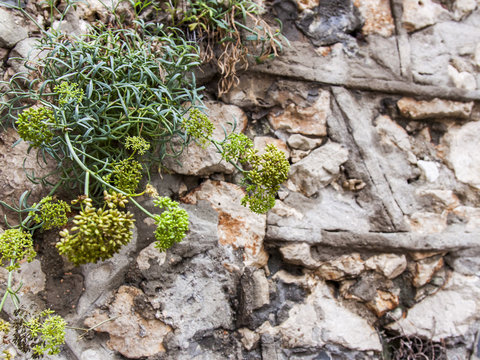 Antibe. Typical architectural details in Provencal style