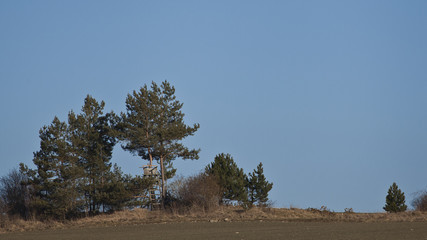 Hochsitz