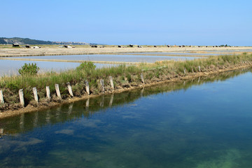Salt field in Natural park Secovlje Salina, Slovenia