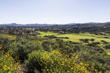 Fototapeta na wymiar Southern California Suburban Spring
