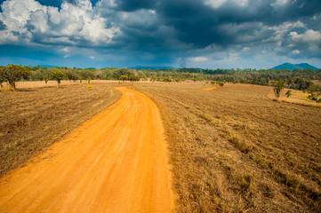 Fototapeta premium Road of Savannah Field
