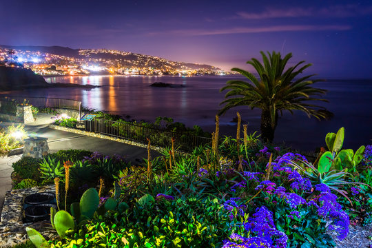 Flowers And View Of Laguna Beach At Night, From Heisler Park In