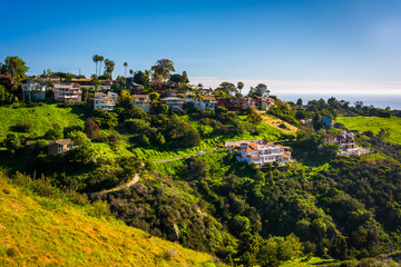 Fototapeta premium View of houses of a hillside in Laguna Beach, California.