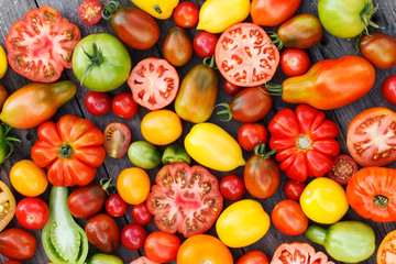 colorful tomatoes