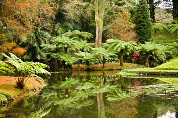 Terra Nostra Park  © Candy Rothkegel