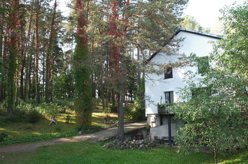 Уютный дом среди соснового леса © iuliiia