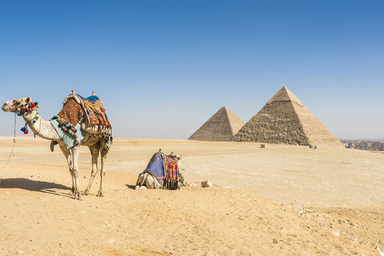 General view of Pyramids of Giza, Egypt