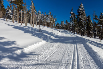 wintry landscape scenery with modified cross country skiing way