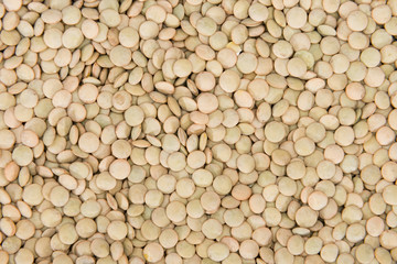 Brown Lentils Backgorund