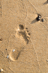 Footprints