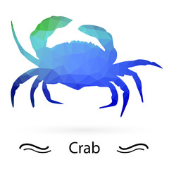 Crab with triangles of different colors. Vector.