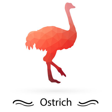 Ostrich with triangles of different colors. Vector.