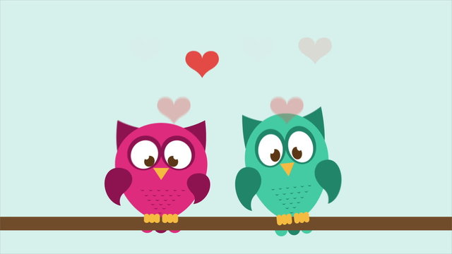 Owl couple in love, Video Animation. HD 1080