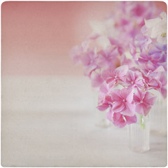 Vintage Flower Background