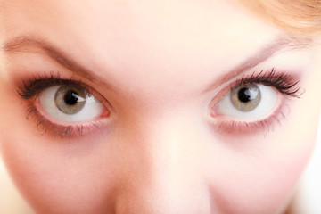 Obraz premium Part of face female eyes. Blonde girl wide eyed.
