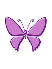 butterfly