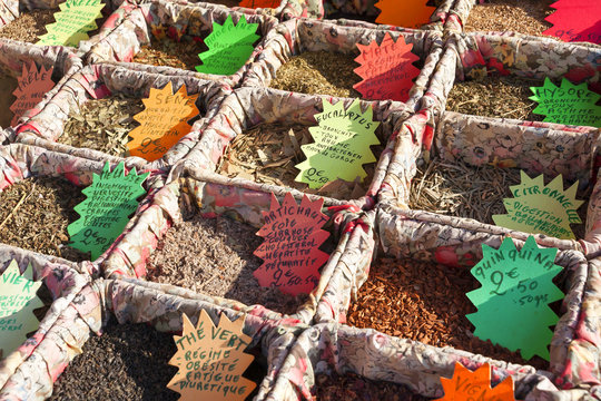 フランス　マルシェ　イメージ　　様々な植物の香り材料　アロマ　クローズアップ