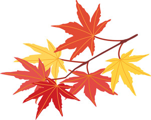단풍잎이미지