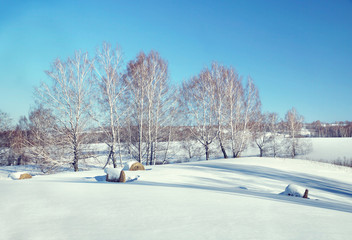 Beautiful sunny winter landscape with rolls of hay on the snow