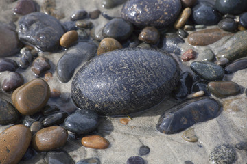 Ocean Pebbles and Rocks