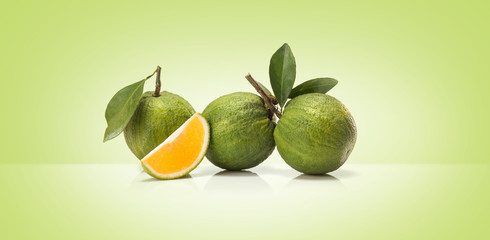 Green sweet oranges fruit