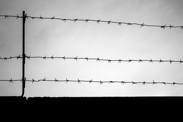 Black barbed wire silhouette on dark sky background