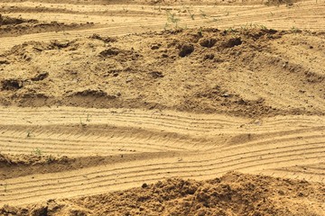 Fototapeta premium Wheel tracks on the soil.