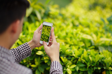 Taking photo of grass