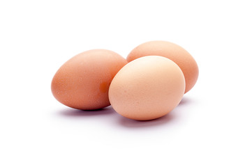 eggs on a white background
