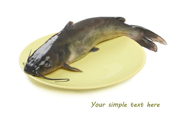 Channel catfish fish products on a plate