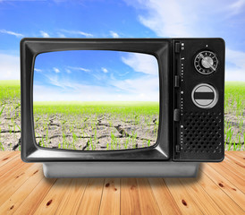 TV vintage and Agriculture paddy field