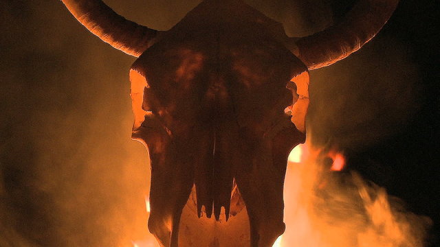 Cow Skull with Flames and Fire 