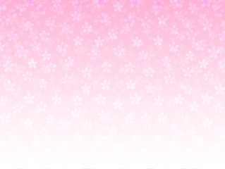 桜　花　背景