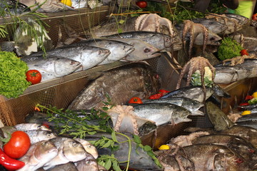 РСвежая рыба © Roman TINIAKOV