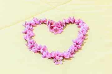 Heart from Cherry blossoms or sakura