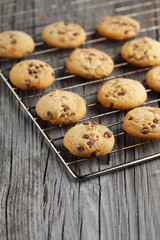 Chocolate chip cookies