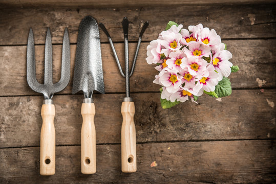 Flower and Garden tools