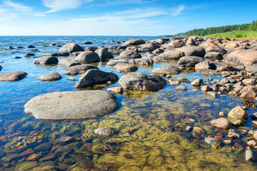Coast of Baltic Sea. Estonia