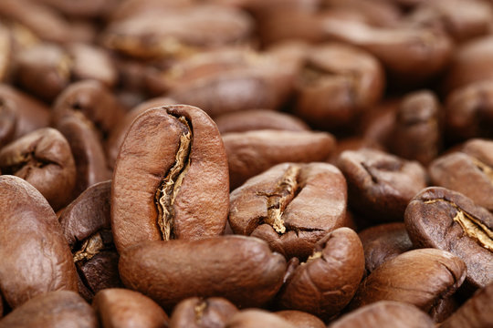background of premium roasted coffee beans