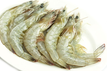 Fresh shrimp