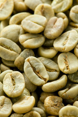 Green coffee beans.