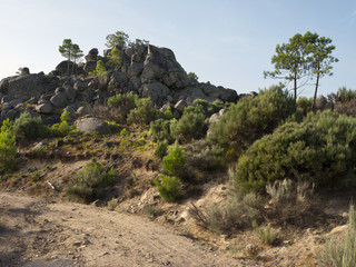 Camino del Zahurd&oacute;n. Madrid