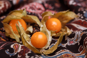 physalis