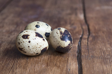 Obraz premium quail eggs