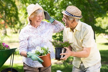 Naklejka na ściany i meble Happy senior couple gardening