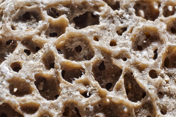 Pumice-stone