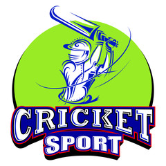 Cricket player playing with bat