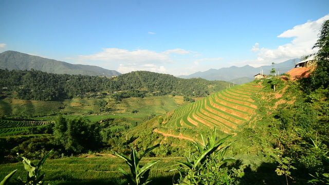 Zoom Out of Scenic Rice Terraces in the Northern Mountains of Sapa Vietnam